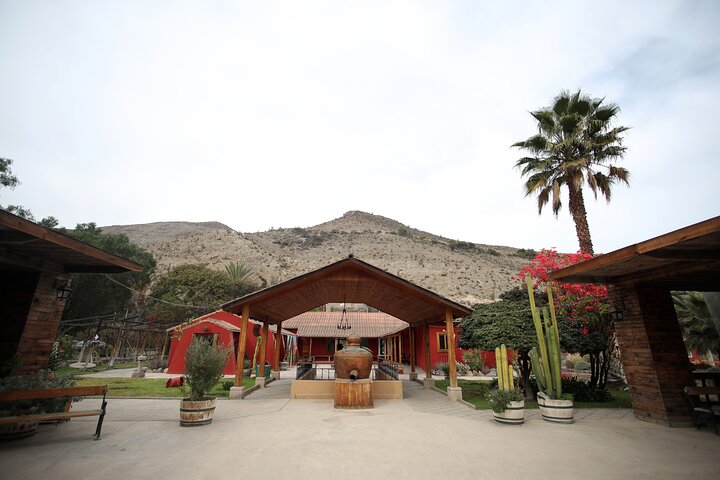 Elqui Valley Tour: History and Flavors