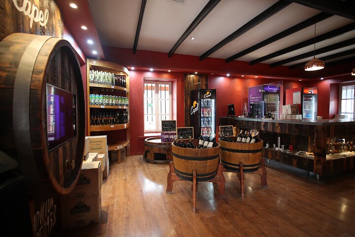Elqui Valley Tour: History and Flavors