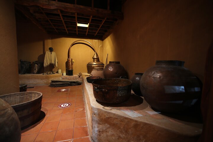 Elqui Valley Tour: History and Flavors
