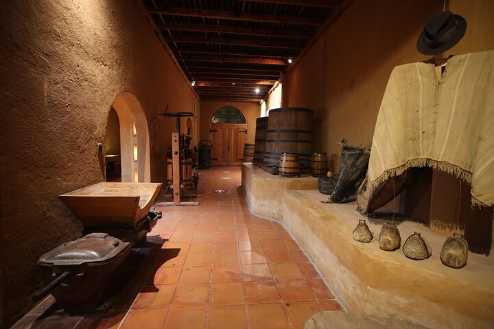 Elqui Valley Tour: History and Flavors