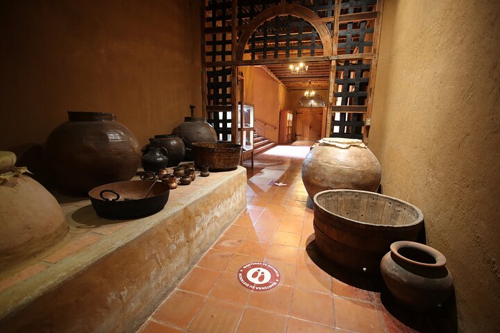 Elqui Valley Tour: History and Flavors