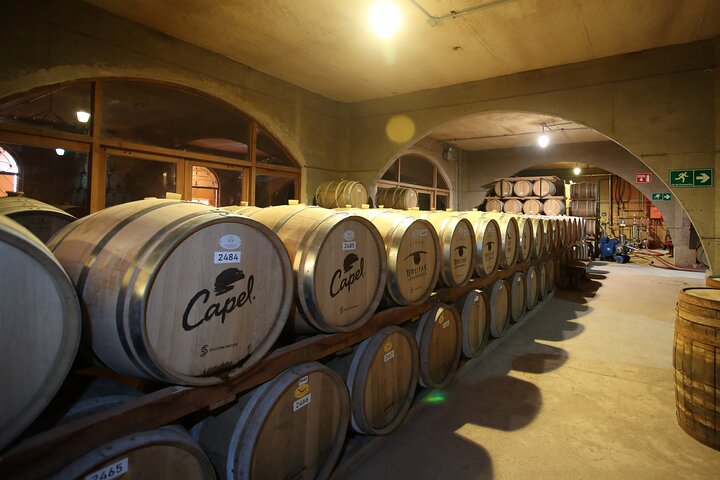 Elqui Valley Tour: History and Flavors