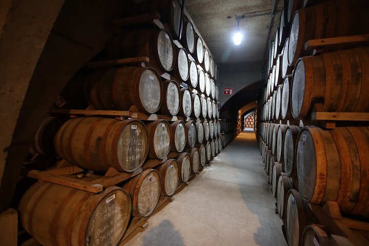 Elqui Valley Tour: History and Flavors