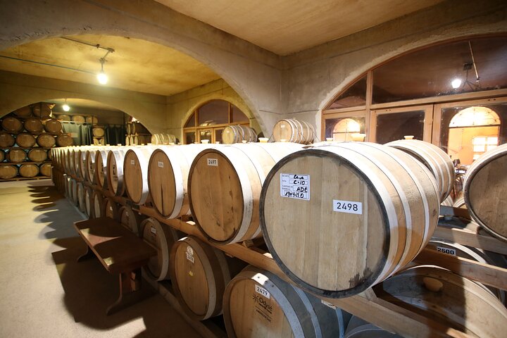 Elqui Valley Tour: History and Flavors