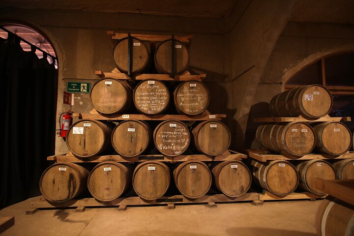 Elqui Valley Tour: History and Flavors