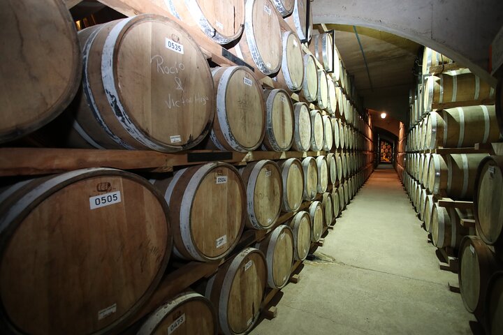 Elqui Valley Tour: History and Flavors