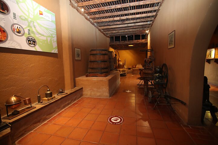 Elqui Valley Tour: History and Flavors
