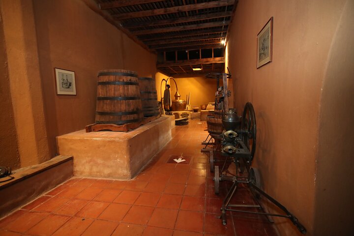 Elqui Valley Tour: History and Flavors