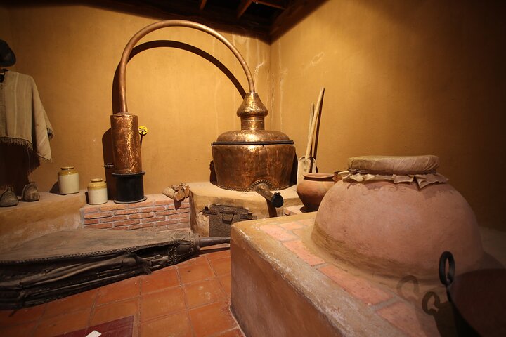 Elqui Valley Tour: History and Flavors
