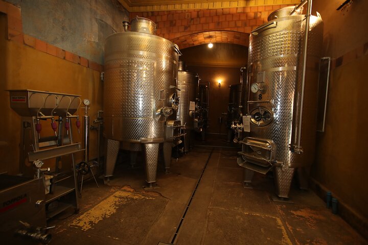 Elqui Valley Tour: History and Flavors