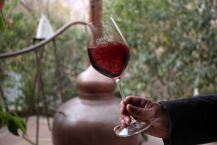 Elqui Valley Tour: History and Flavors
