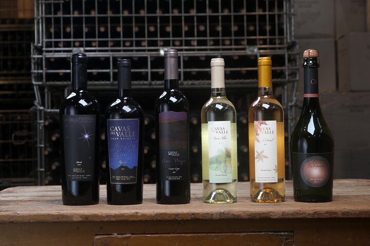 Elqui Valley Tour: History and Flavors