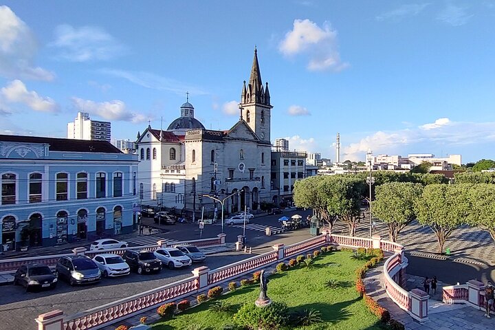 Manaus Private City Tour Amazonas Theater and the Hotel Pickup