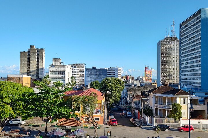 Manaus Private City Tour Amazonas Theater and the Hotel Pickup