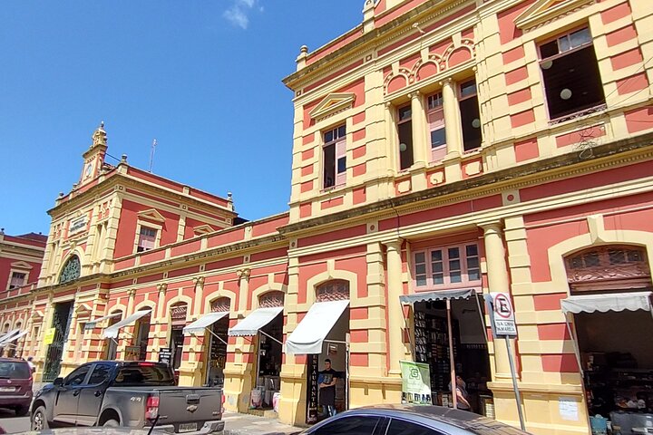 Manaus Private City Tour Amazonas Theater and the Hotel Pickup