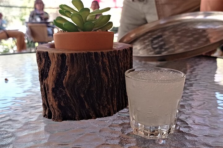 Elqui Valley Tour: History and Flavors