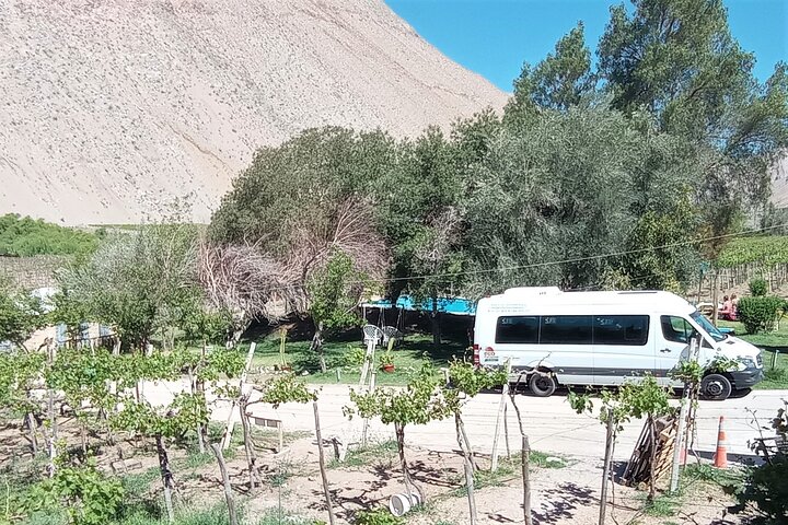Elqui Valley Tour: History and Flavors
