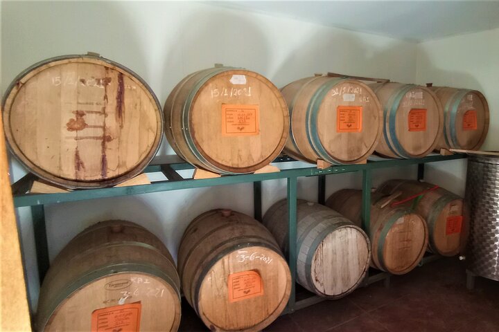 Elqui Valley Tour: History and Flavors