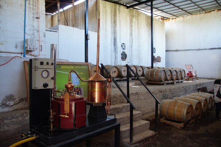 Elqui Valley Tour: History and Flavors