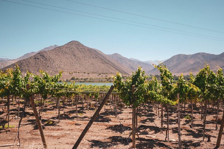 Elqui Valley Tour: History and Flavors