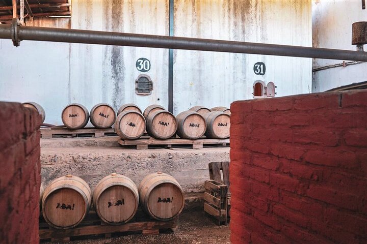 Elqui Valley Tour: History and Flavors