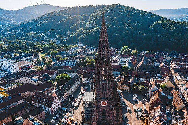Veni vidi vino - the Freiburg wine hike