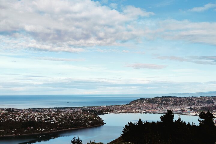 Heritage City and Larnach Castle Van tour with Historian Guide