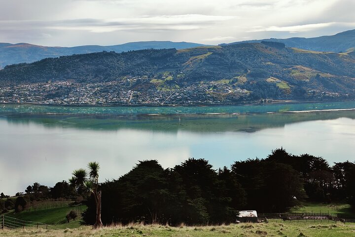 Heritage City and Larnach Castle Van tour with Historian Guide