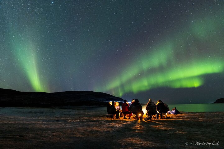 Tromso Aurora Hunt with Bonfire, Meal, Winter Suit & Photos