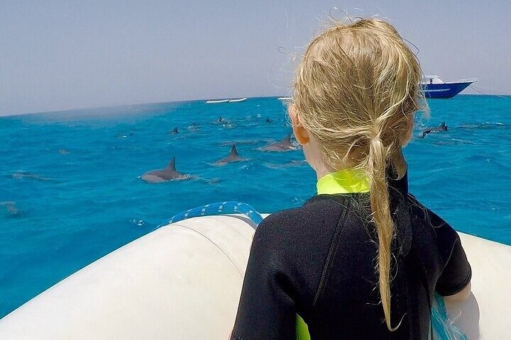 Dolphin House Sataya Reef Snorkeling Cruise from Marsa Alam