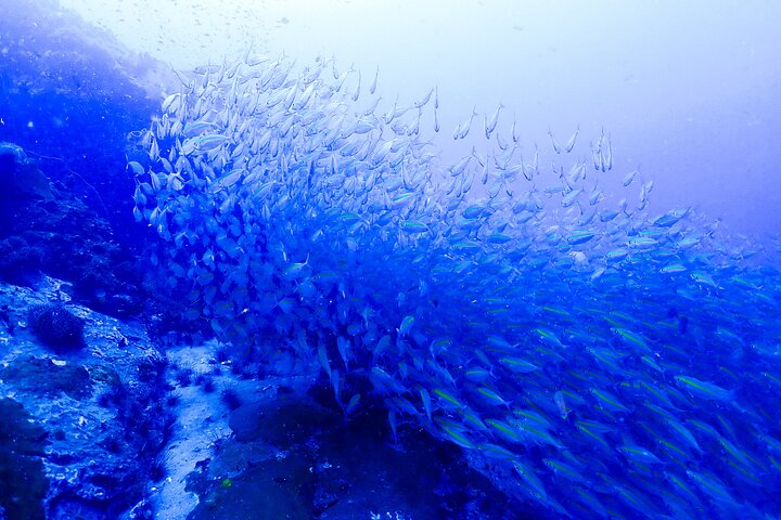 Snorkelling Trip 5 Island Tour Around Koh Tao and Koh Nang yuan