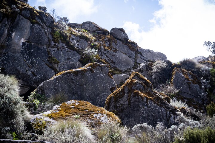 8 Days Climbing Mt.Kilimanjaro (Lemosho Route)