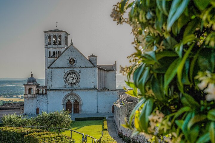 Assisi: 3-hours tour including St. Francis Basilica tickets