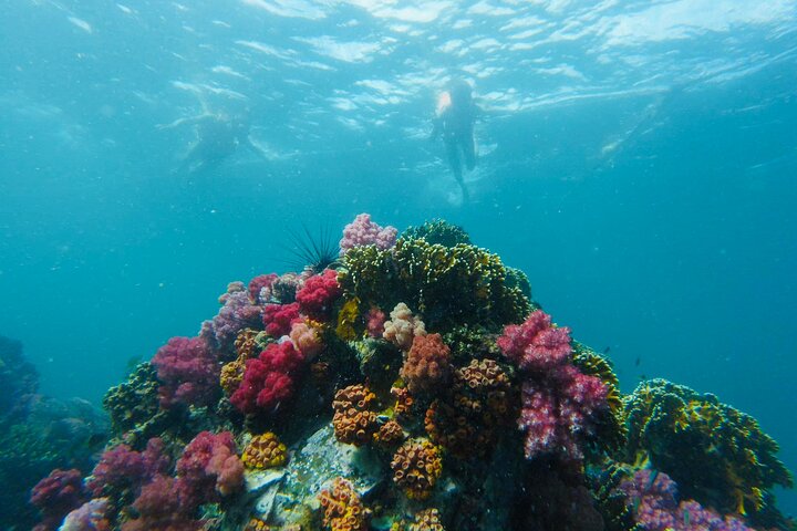 Koh Lipe Adan Archipelago 7-Island Small-Group Snorkeling Tour