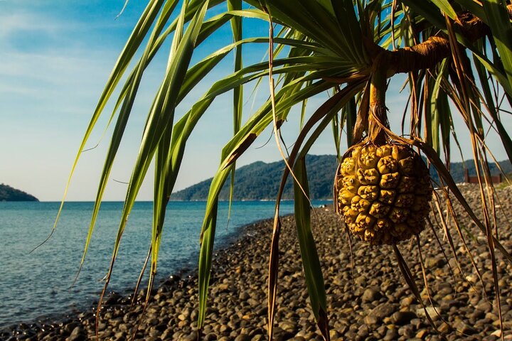 Koh Lipe Adan Archipelago 7-Island Small-Group Snorkeling Tour