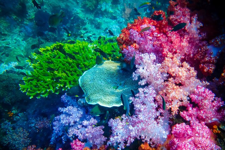 Koh Lipe Adan Archipelago 7-Island Small-Group Snorkeling Tour