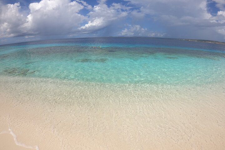 Marine Park - Private Boat charter with LOCAL Captain/ Guide