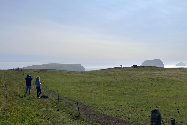 PRIVATE 2-Hours Tour - Westman Islands with a local in a BMW X5