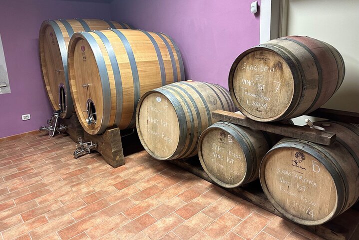 Lucca - Wine tasting at Tenuta Mareli