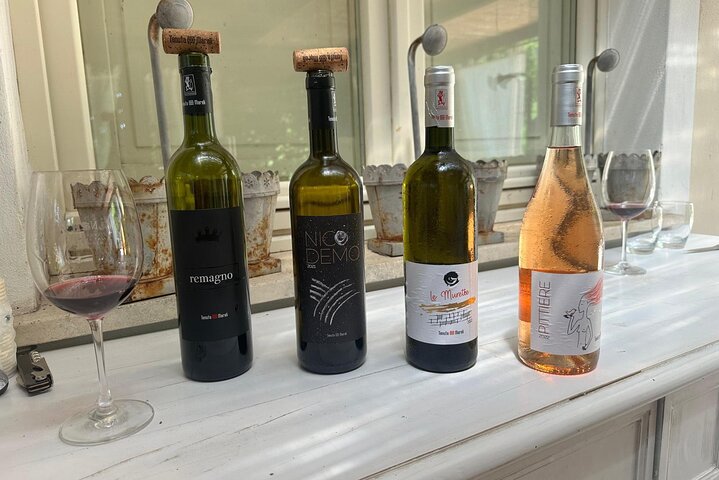 Lucca - Wine tasting at Tenuta Mareli