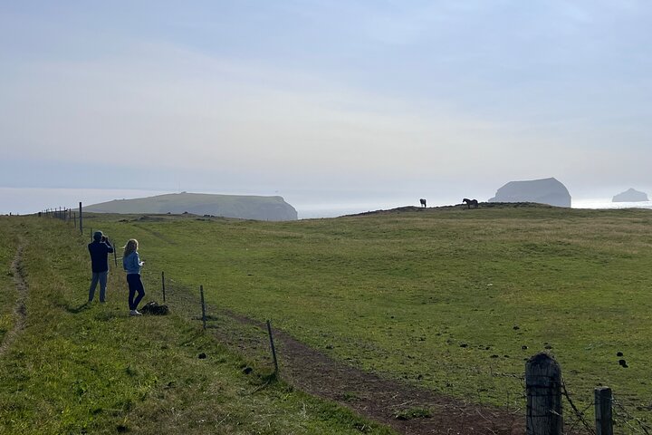 PRIVATE 2-Hours Tour - Westman Islands with a local in a BMW X5