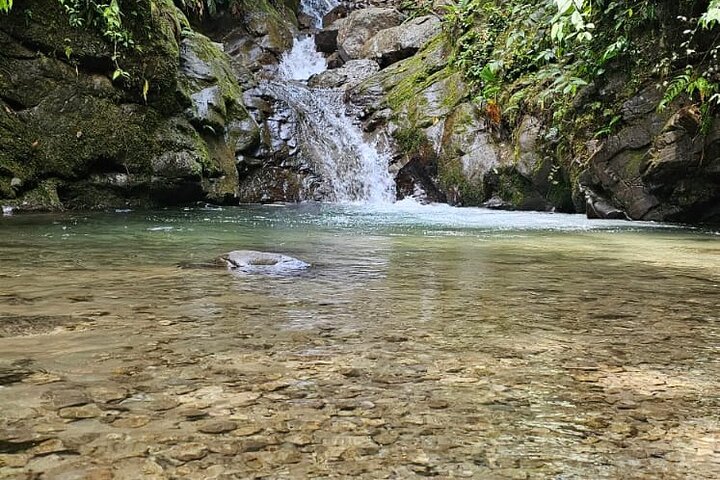 Mindo Cloud Forest: Hummingbirds, Birding & Waterfall Tour