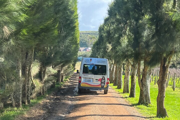 The Boutique Experience: Waiheke Best Cellar Tour (11 guests max)
