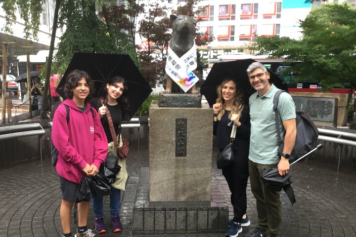 Tokyo Layover Car Tour from NRT: English Driver, No Guide
