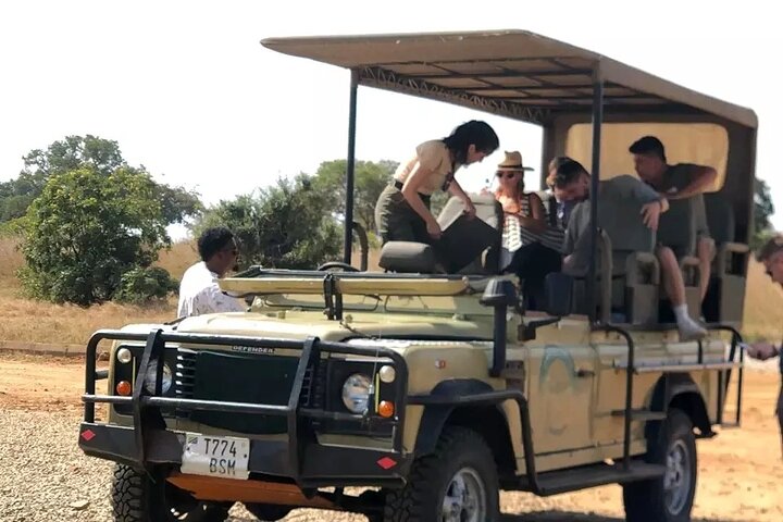 Day Trip Safari to Mikumi National Park from Zanzibar