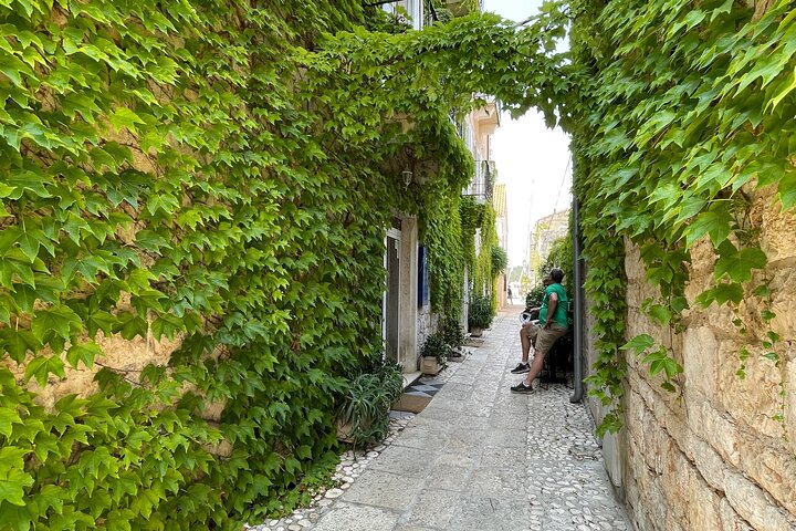 Blue Cave and Town Hvar with 5 Island Boat Tour