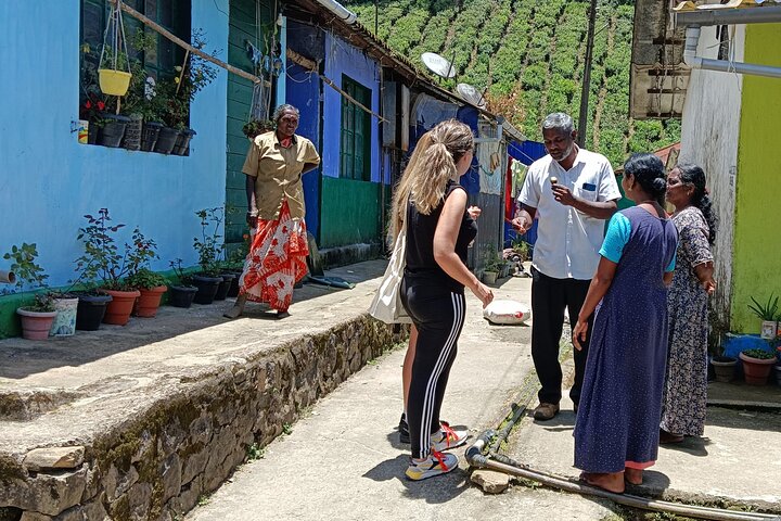 Anakulam Wild Elephant Village life tour ( By Munnar Info)