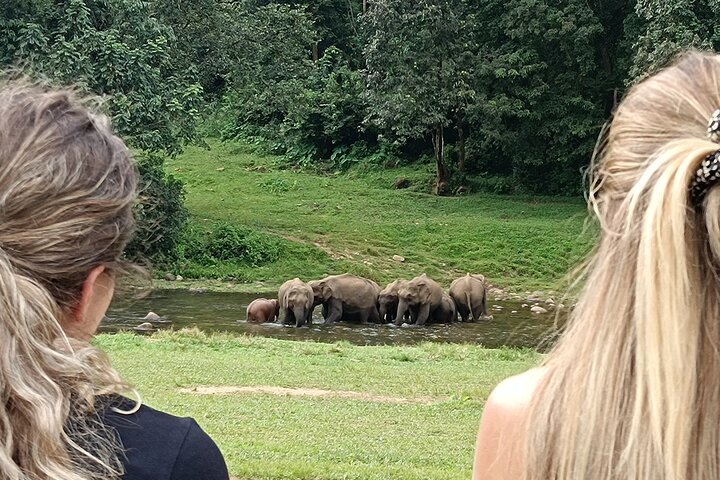 Anakulam Wild Elephant Village life tour ( By Munnar Info)