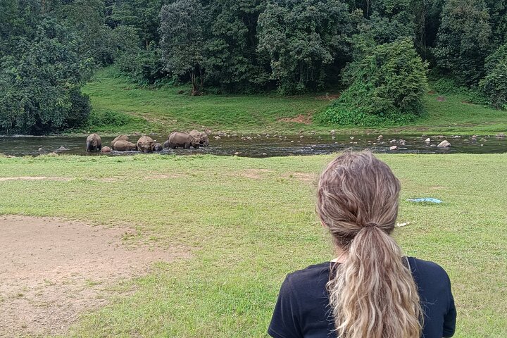 Anakulam Wild Elephant Village life tour ( By Munnar Info)