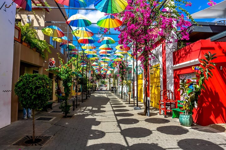 Puerto Plata City Tour with Private Guide, Rum,Chocolate.